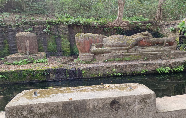 Shesh Shaiya bandhavgarh