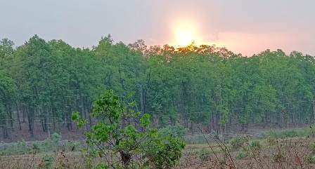 Tour Booking bandhavgarh