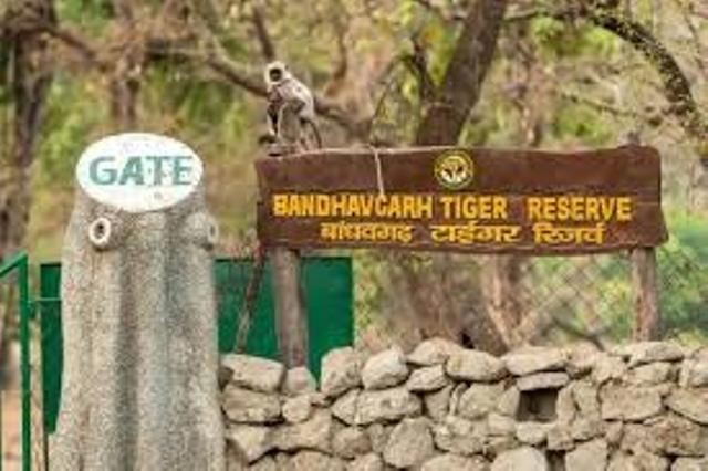 How to reach Bandhavgarh National Park nearest railway station and airport route map