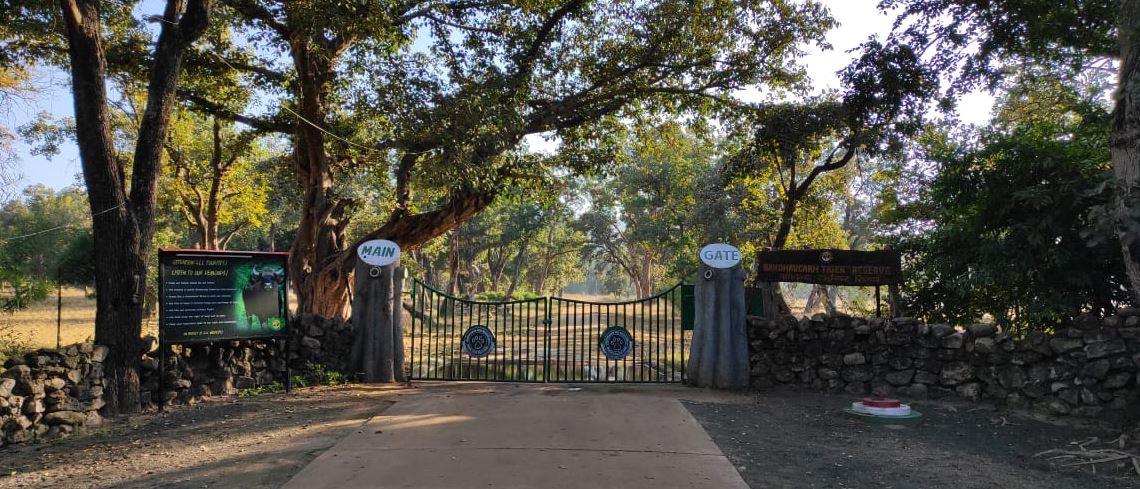 Tala Zone safari gate 1 Bandhavgarh